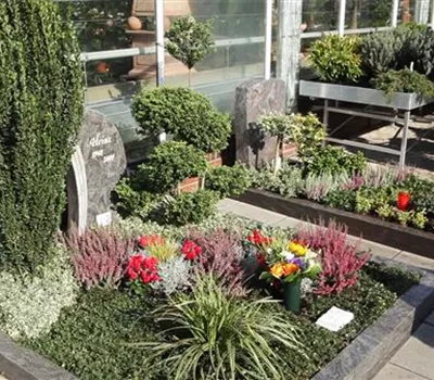 Doppelgrab - Grabbepflanzung im Herbst Doppelgrab - Grabbepflanzung im Herbst