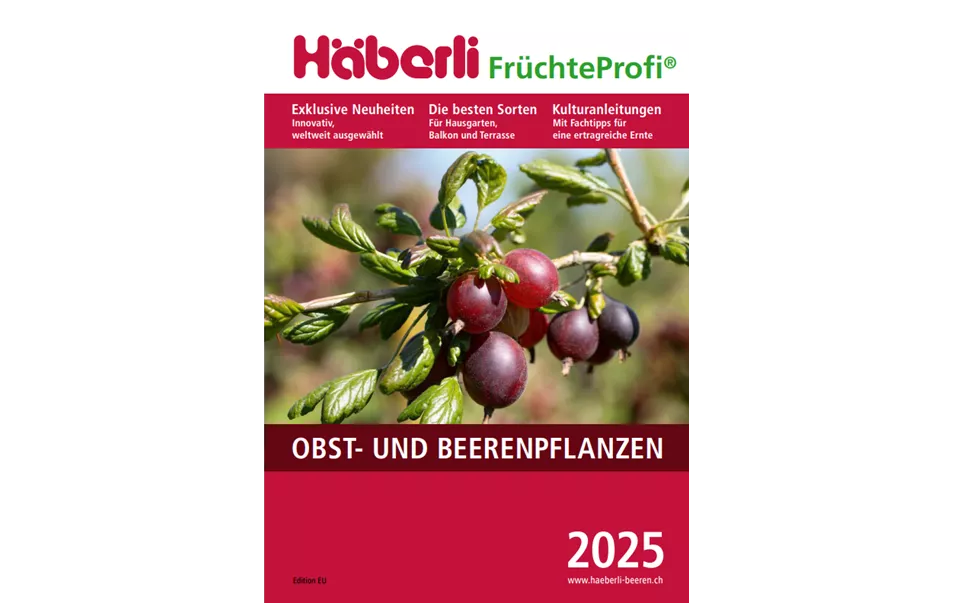 Cover Häberli Katalog 2025.png