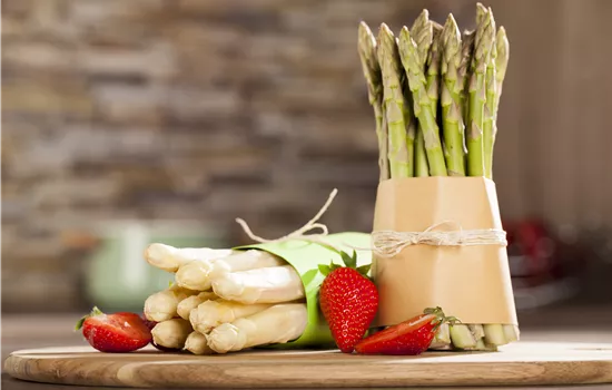 Asparagus officinalis Asparagus officinalis