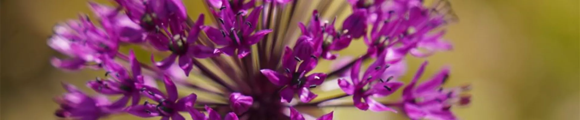 DSC03499-0-0-1616-909 DSC03499-0-0-1616-909