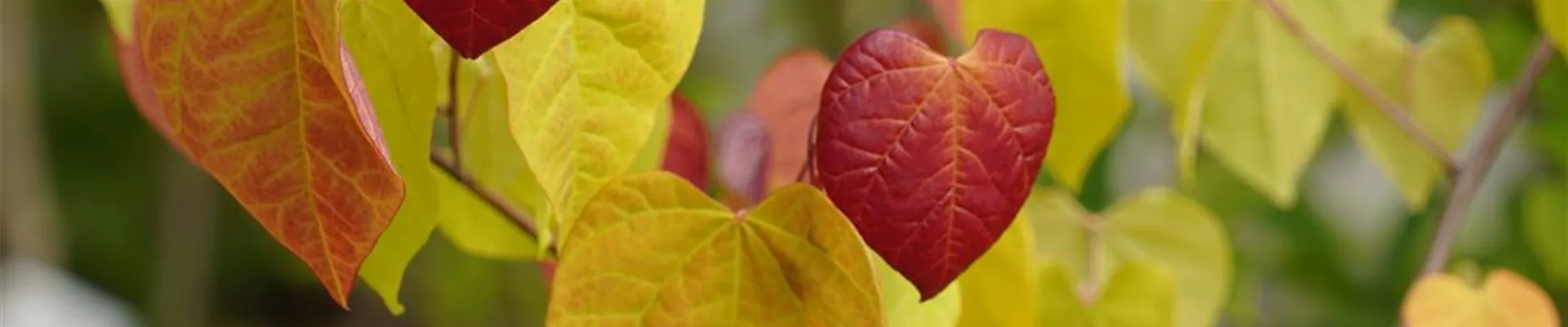 DSC03565-0-386-1616-346 DSC03565-0-386-1616-346