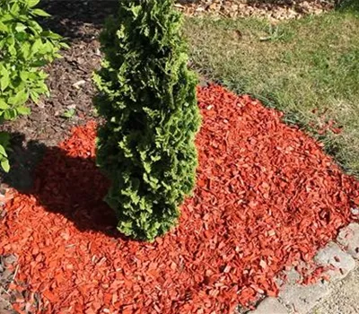 Mulch - Einsatz im Garten Mulch - Einsatz im Garten