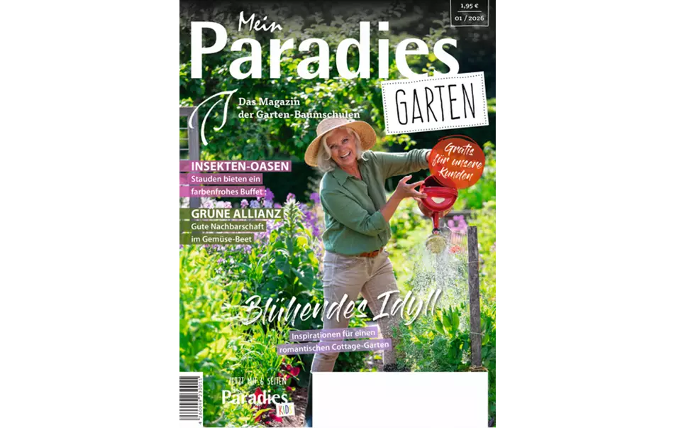 Titelbild 1-2026.png