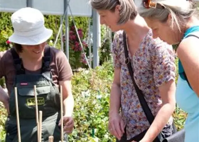 Fachberater (m/w/d) für die Baumschule