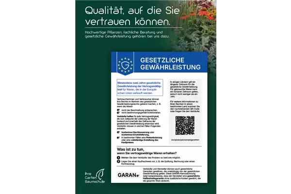 Gwährleistung.PNG