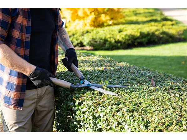 Gärtner(in), Fachrichtung Baumschule