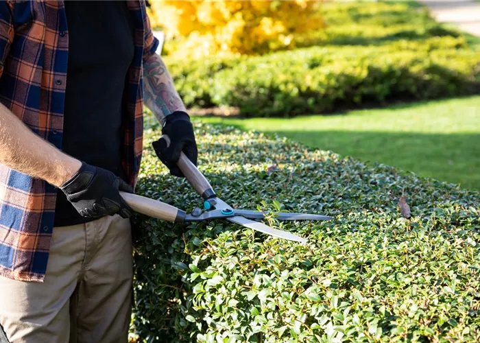 Gärtner(in), Fachrichtung Baumschule Gärtner(in), Fachrichtung Baumschule