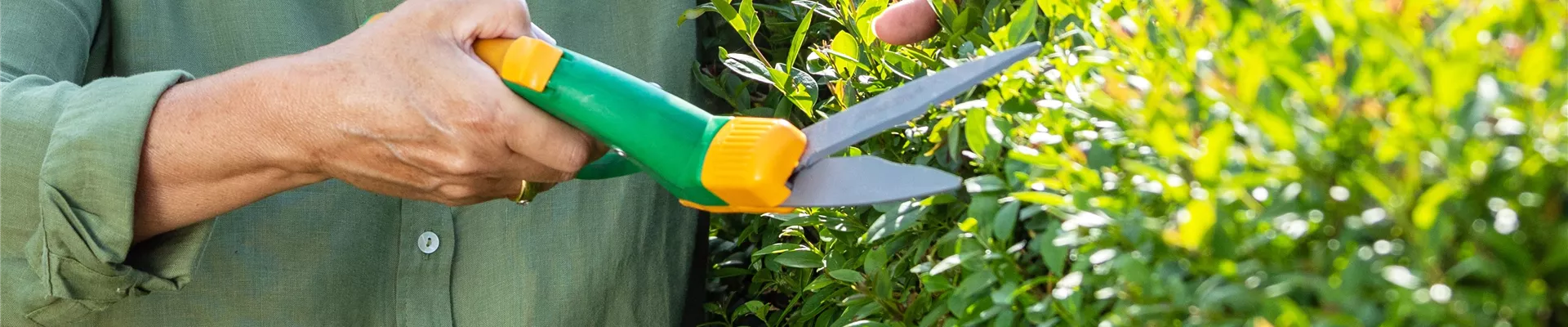 Gartenarbeit - Hecke schneiden