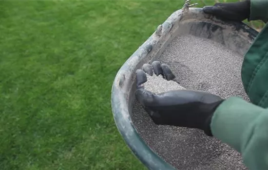 Rasen - Schnitt und Pflege Rasen - Schnitt und Pflege