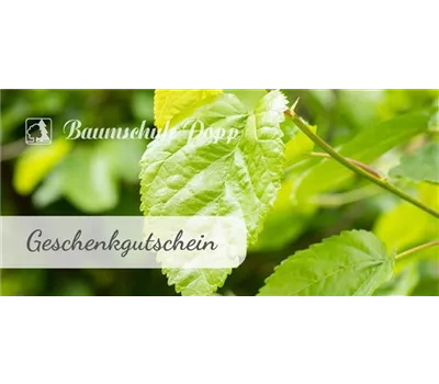 Online Gutschein Online Gutschein