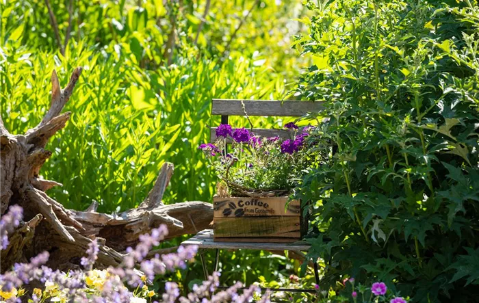 Gartenambiente 