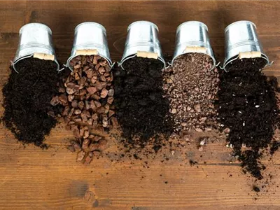 Die passende Erde für die Lieblingspflanzen in Haus und Garten