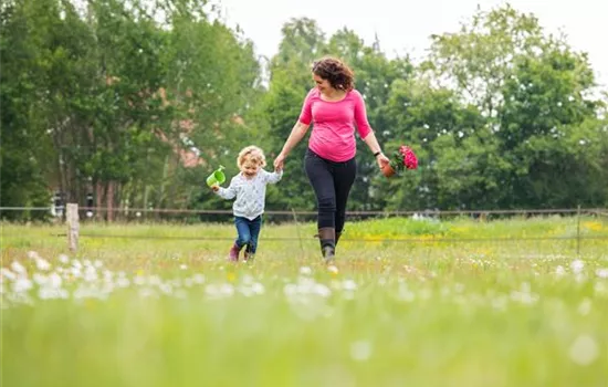 Ein Spielparadies für Kinder im eigenen Garten