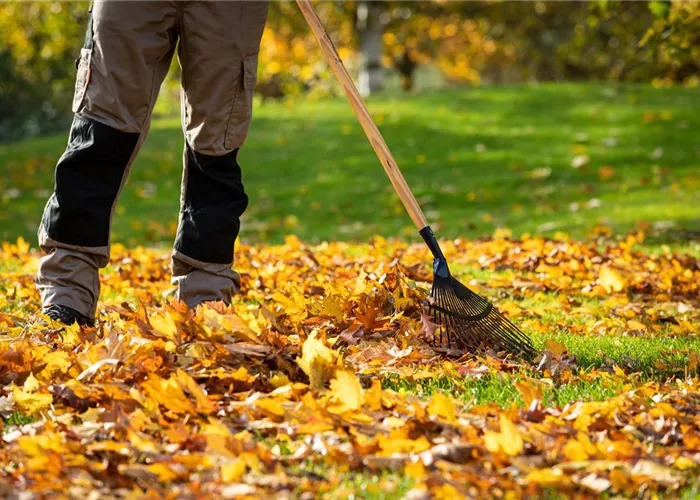 Gartenarbeit im Herbst – Das ist jetzt wichtig Gartenarbeit im Herbst – Das ist jetzt wichtig