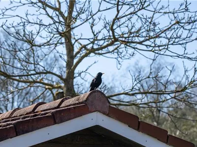 10 Tipps für einen tierfreundlichen Garten 10 Tipps für einen tierfreundlichen Garten